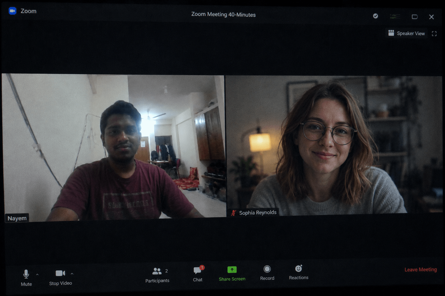 Video Call Meeting with Client